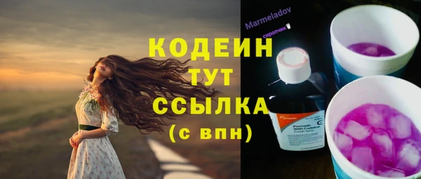 индика Абдулино